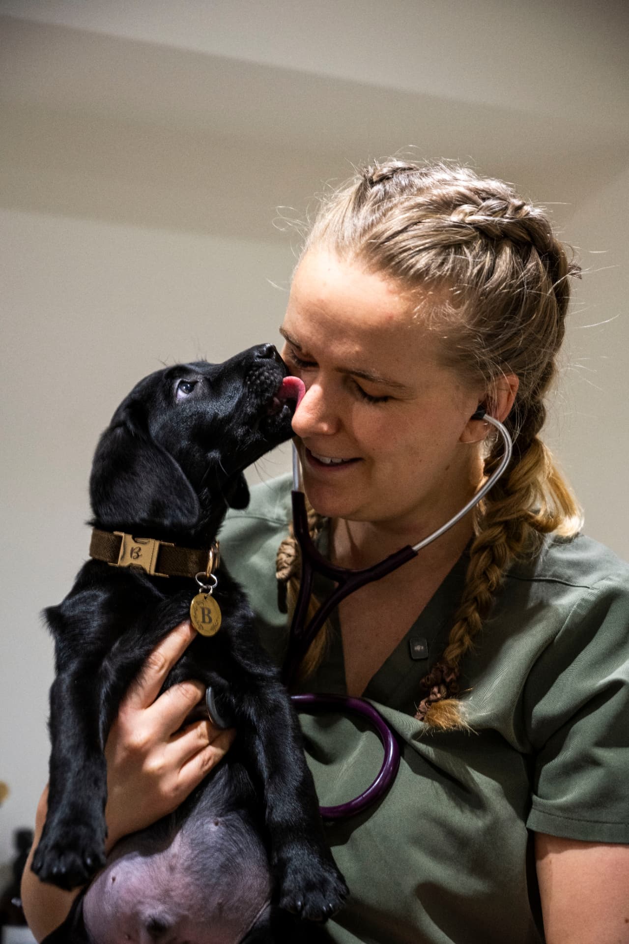 Vet nurse holding a black Labrador puppy licking her face