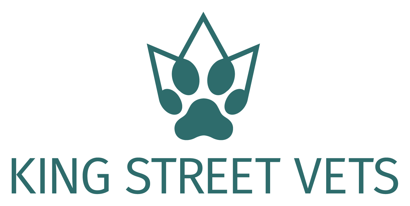 King Street Vets